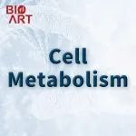 Cell Metab | 間歇性禁食和健康飲食顯著改善老年人的大腦認(rèn)知與健康