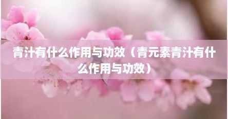 青汁有什么作用與功效（青元素青汁有什么作用與功效）