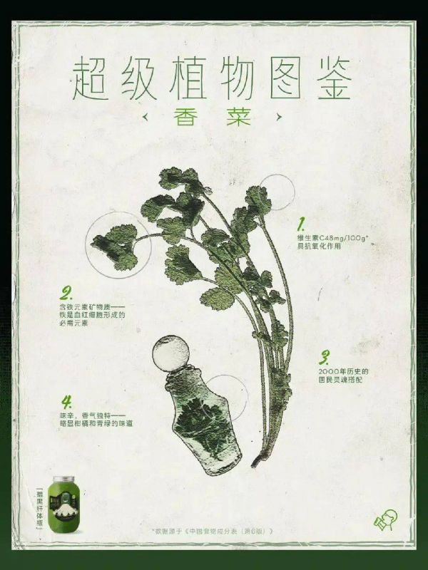 卷不動的人生，讓植物來拯救