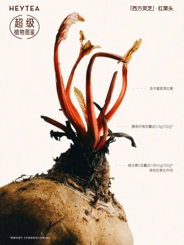 卷不動的人生，讓植物來拯救