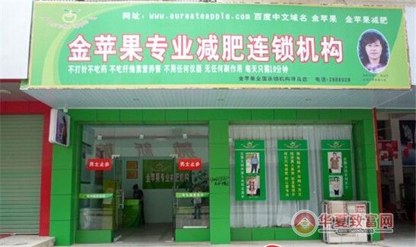金蘋果減肥加盟