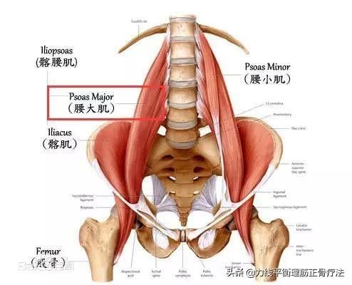 坐骨神經(jīng)痛的自我康復(fù)
