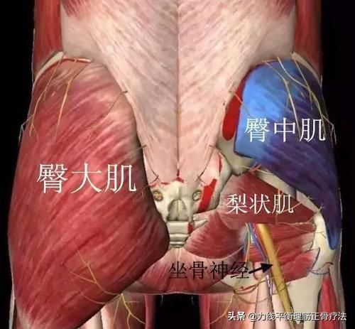 坐骨神經(jīng)痛的自我康復(fù)