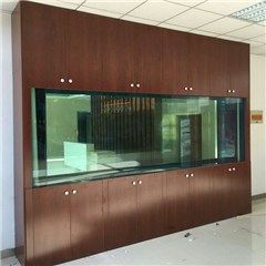 定做生态鱼缸-搏鳌水族(在线咨询)-杭州鱼缸定做