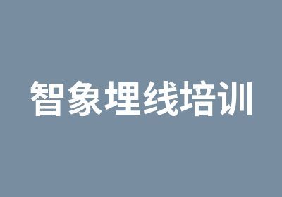 智象埋线培训