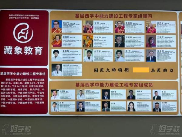 师资团队