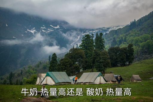 牛奶 热量高还是 酸奶 热量高