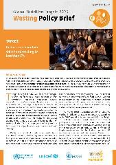 Global nutrition targets 2025: wasting policy brief