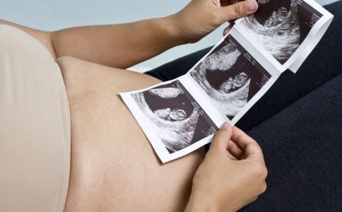孕婦孕期 孕期知識(shí) 胎兒 胎兒成長