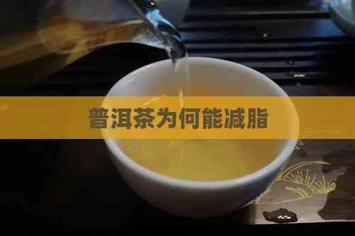 普洱茶為何能減脂