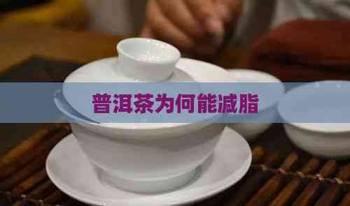 普洱茶為何能減脂