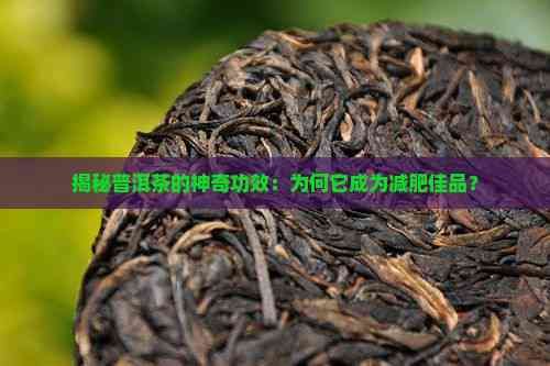 揭秘普洱茶的神奇功效：為何它成為減肥佳品？