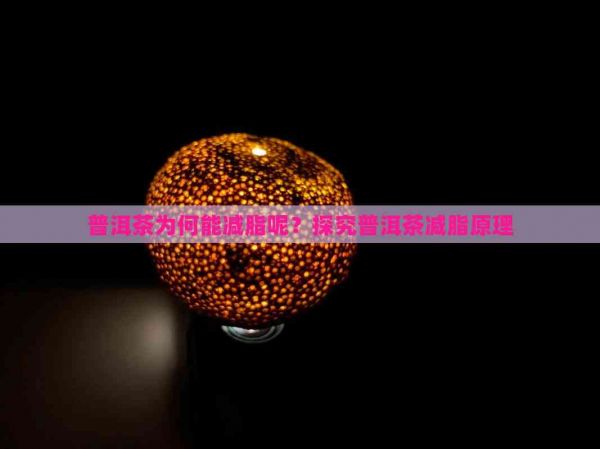 普洱茶為何能減脂呢？探究普洱茶減脂原理