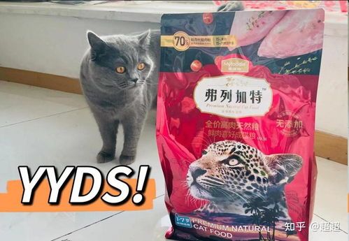 科學(xué)搭配貓糧，合理控制貓咪體重。