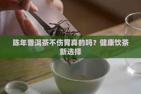 陳年普洱茶不傷胃