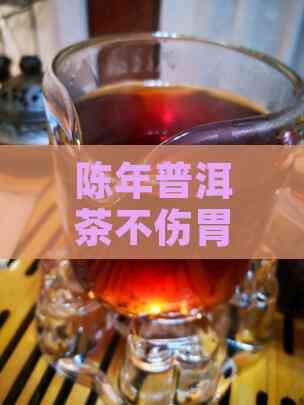 陳年普洱茶不傷胃