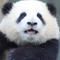 Agnes_321的廚房