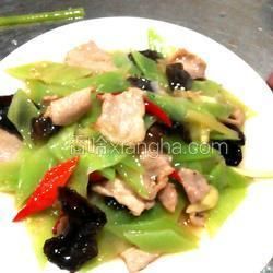 木耳肉片的做法[圖]