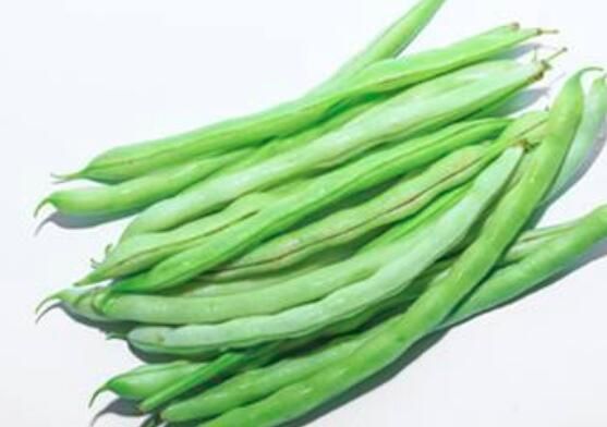 調(diào)理腸胃吃什么