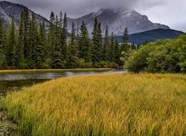 推拿按摩可以保健養(yǎng)生，你還不相信嗎