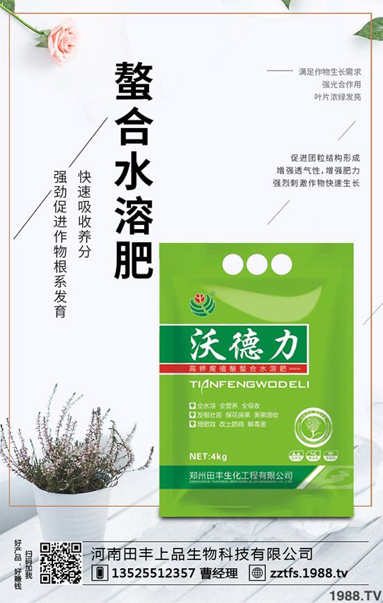 卷心菜有哪些營(yíng)養(yǎng)價(jià)值？吃卷心菜有哪些好處？教你吃出健康！