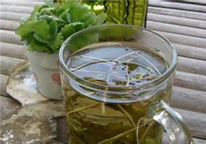魚腥草能不能泡水喝 干魚腥草泡水喝的功效