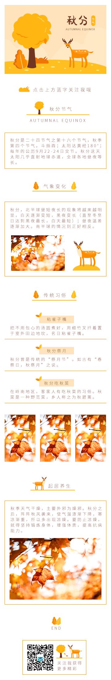 插畫黃色節(jié)氣秋分秋季晝夜