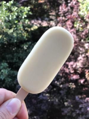 绿豆酸奶雪糕——给孩子的健康冷饮的做法 步骤2