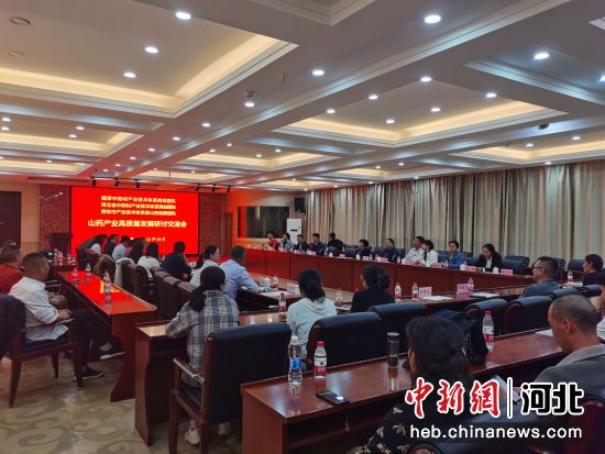 山药产业高质量发展研讨交流会现场。 马于晴 摄
