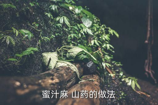蜜汁麻 山药的做法