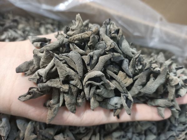 黑木耳食疗功效图
