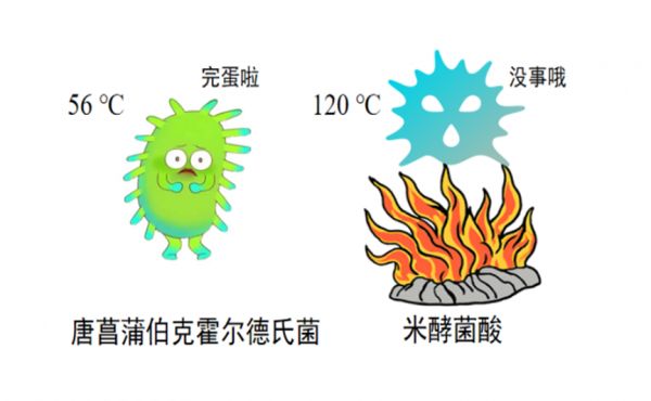 ba6481c05ead4692a78bf9b34914c702.png