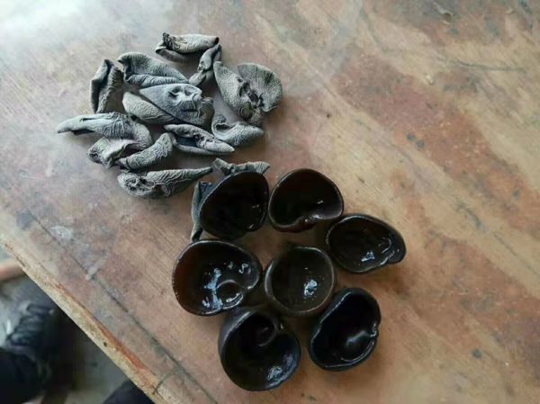 黑木耳干品与泡发后的对比图