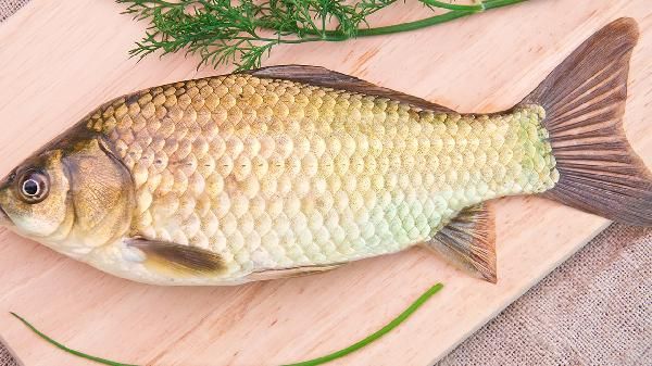 补血的食材有哪些20种 最好的补血食物