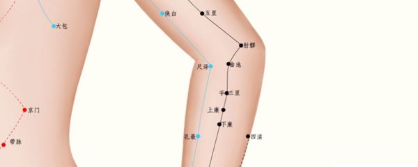 手三里穴的准确位置图 手三里穴位图 手三里穴