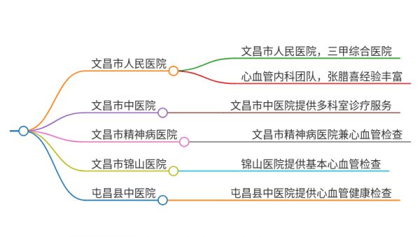 2025年海南文昌治疗心跳加速的医院有哪些
