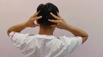 96681669850206508