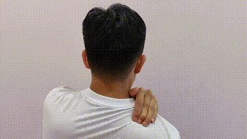 84531669850206892