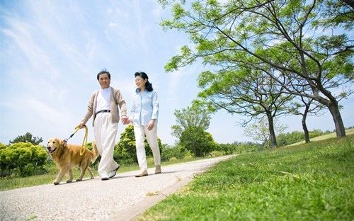 散步養(yǎng)生效果好 能促進身體健康