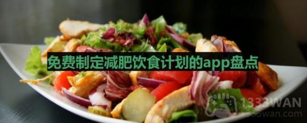 免费制定减肥饮食计划的app盘点 有哪些有免费食谱的减肥软件