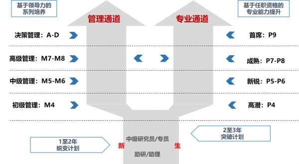 图片名称