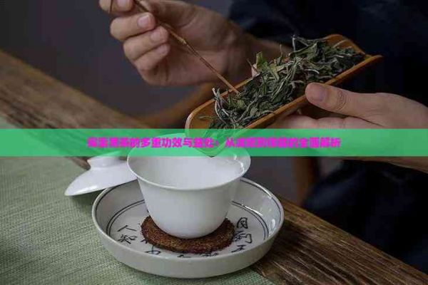探索黑茶的多重功效与益处：从减肥到保健的全面解析
