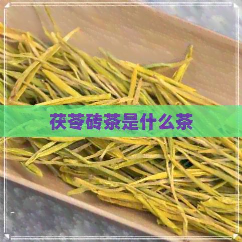 茯苓砖茶是什么茶