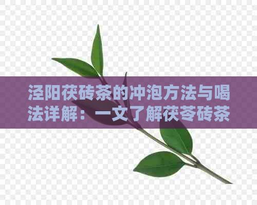 泾阳茯砖茶的冲泡方法与喝法详解：一文了解茯苓砖茶的百科知识