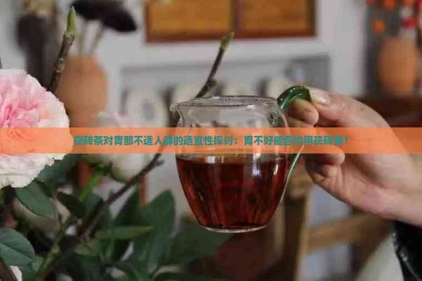 茯砖茶对胃部不适人群的适宜性探讨：胃不好能否饮用茯砖茶？
