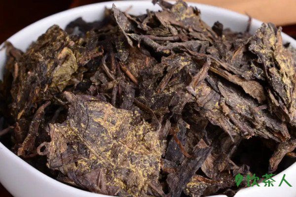  茯茶和普洱茶有什么区别，茯茶和普洱茶口味区别(六大差异)