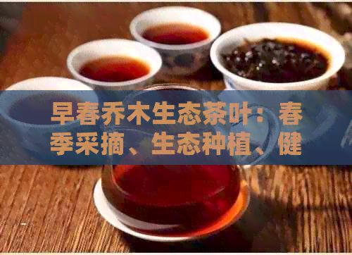早春乔木生态茶叶：春季采摘、生态种植、健康饮品全解析