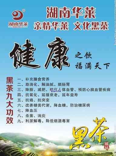 湖南華萊黑茶怎么樣？探究其功效與作用及官方信息