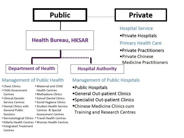 Overall structure of the healthcare system