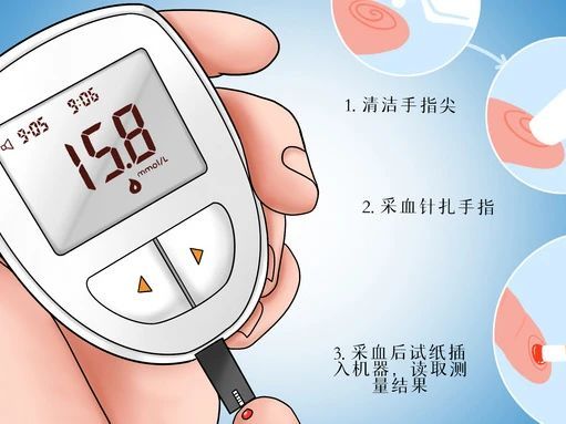 体重管理之我胖，但我健康？